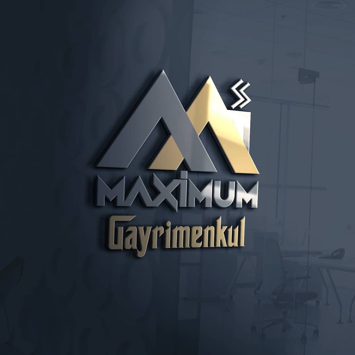 Maximum Gayrimenkul