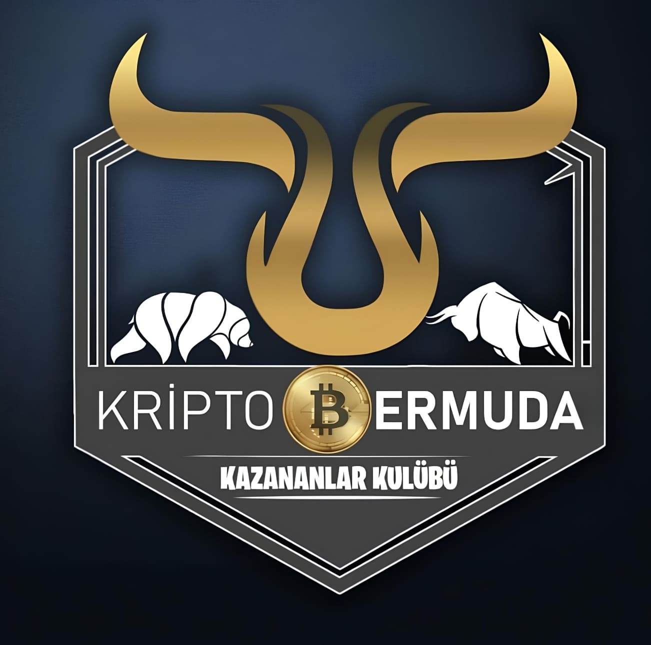 Kripto Bermuda